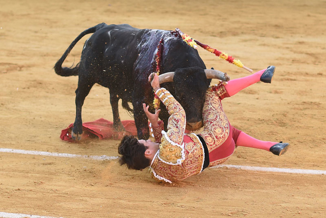 DSC_9027r-CesarGracia-cogida_en_Calanda